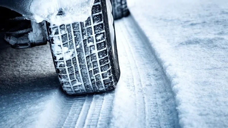 Фото: LeManna/Shutterstock/Fotodom