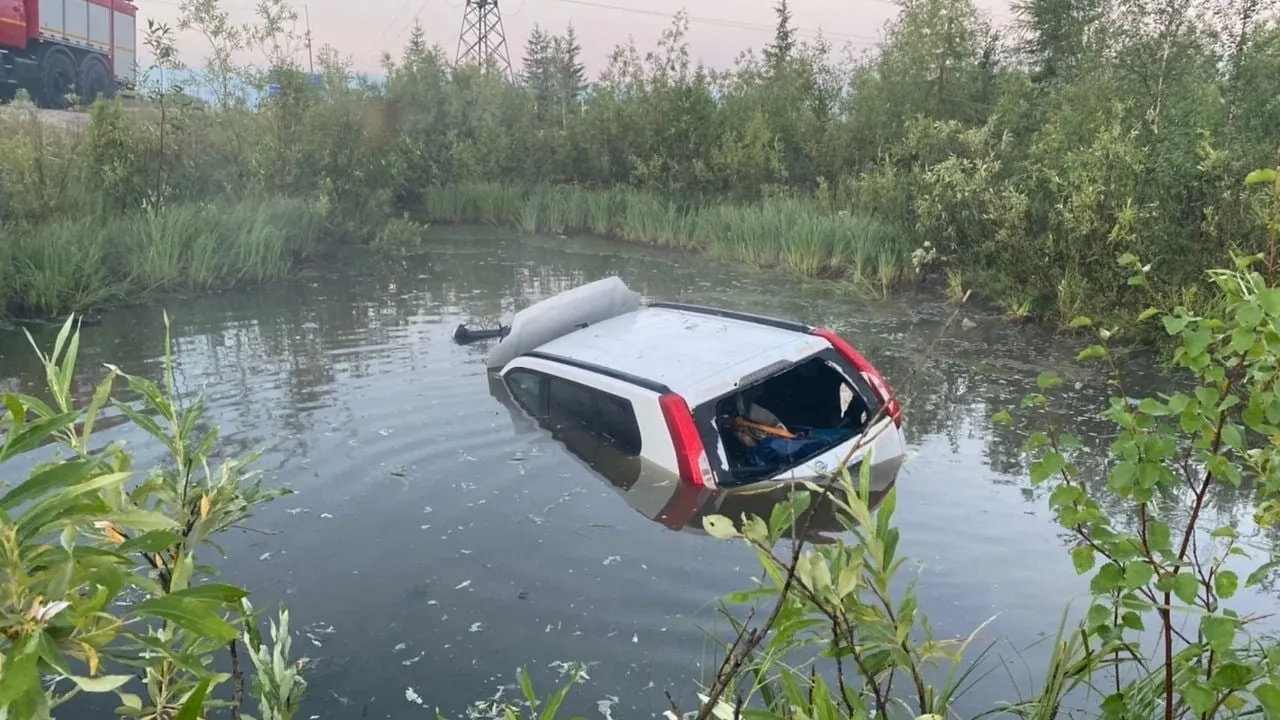 Фото: ОМВД России по г. Новый Уренгой