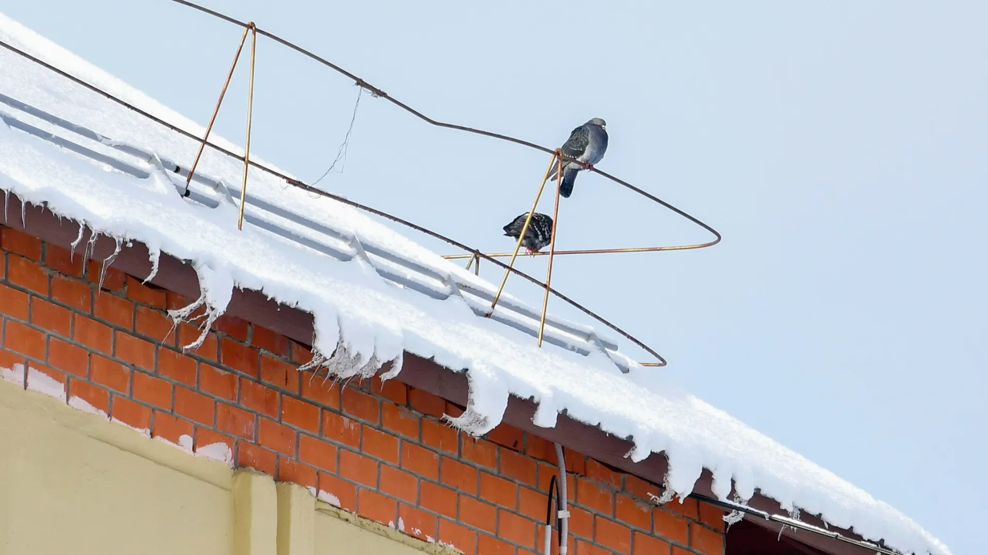 Фото: Андрей Ткачёв/«Ямал-Медиа»