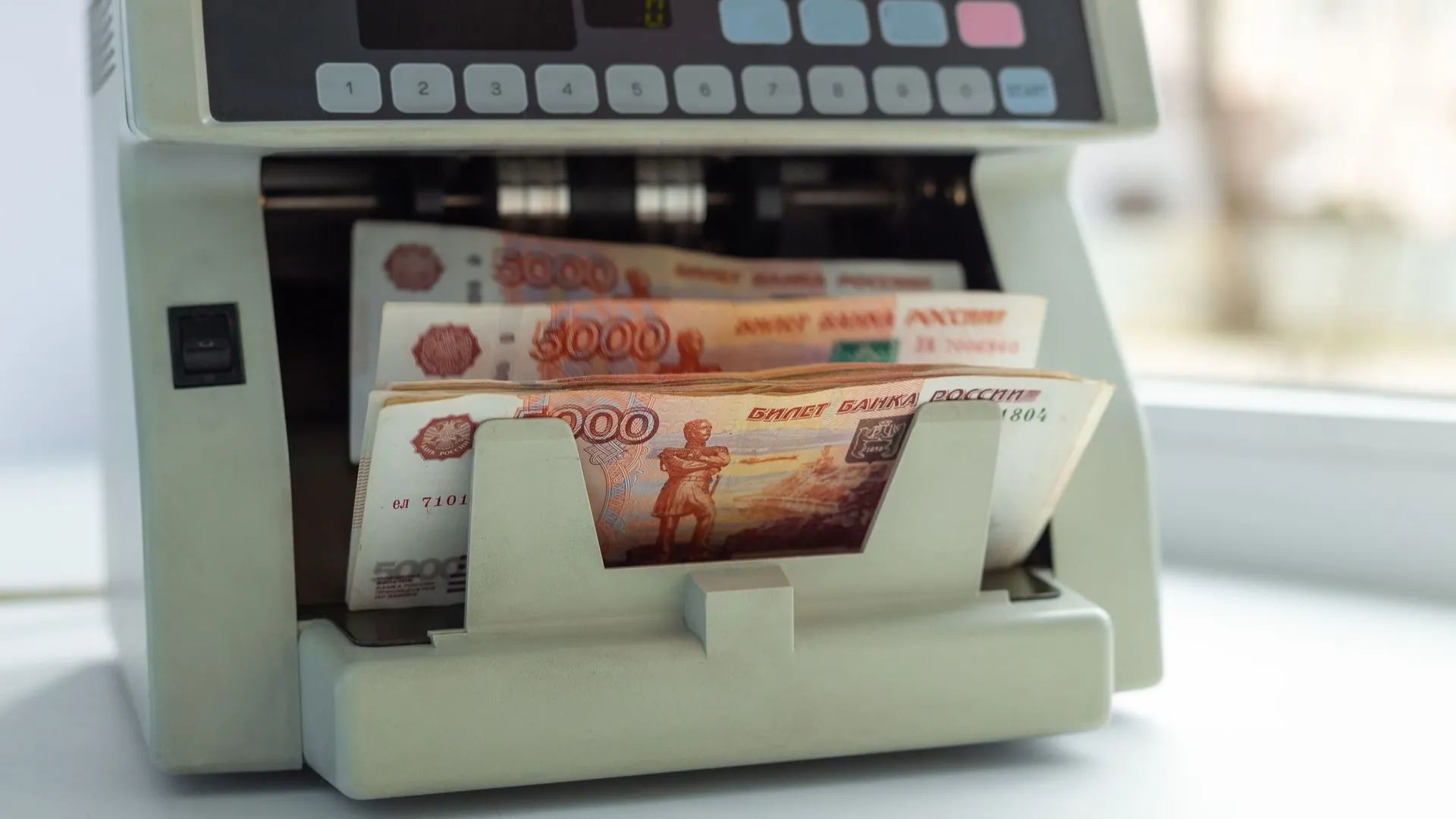 Фото: Elizaveta Elesina/Shutterstock/Fotodom