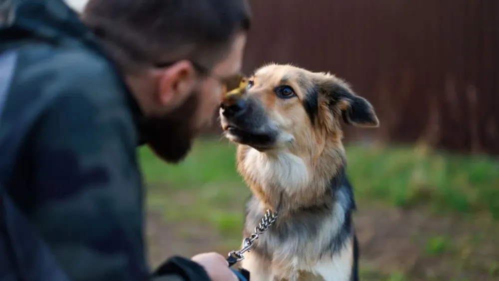 Фото: Юлия Чудинова/«Ямал-Медиа»