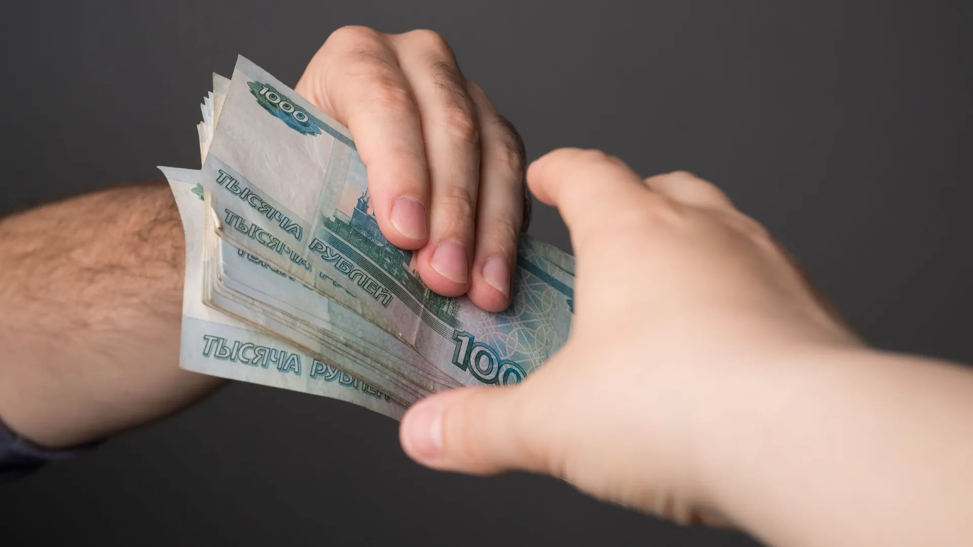 Фото: Yevgen Kravchenko/Shutterstock/Fotodom