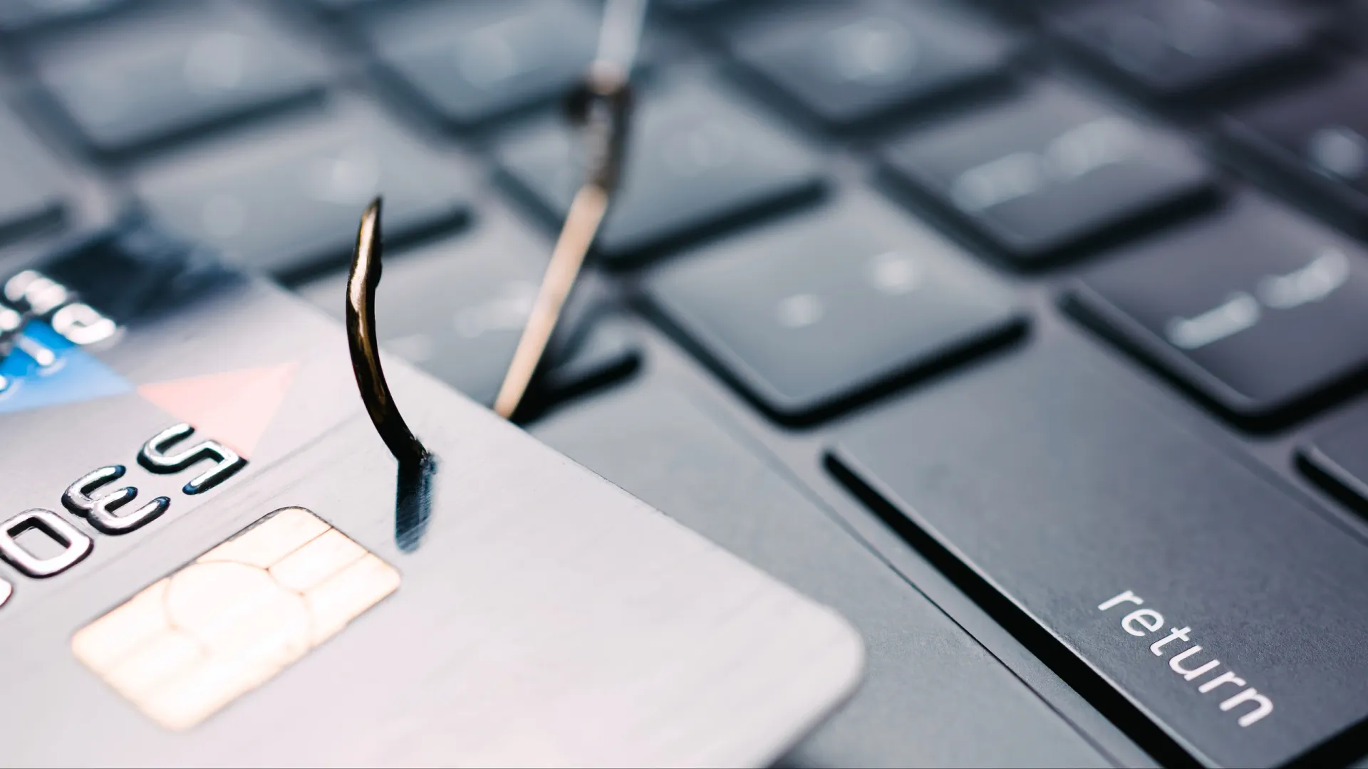 Фото: Chiociolla/Shutterstock/Fotodom