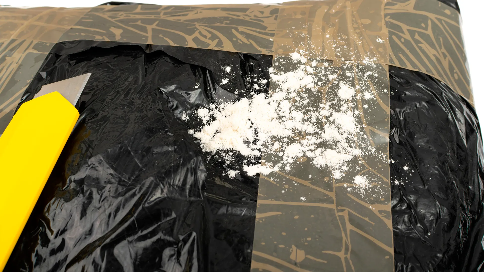 Фото: Artem Stepanov/shutterstock.com