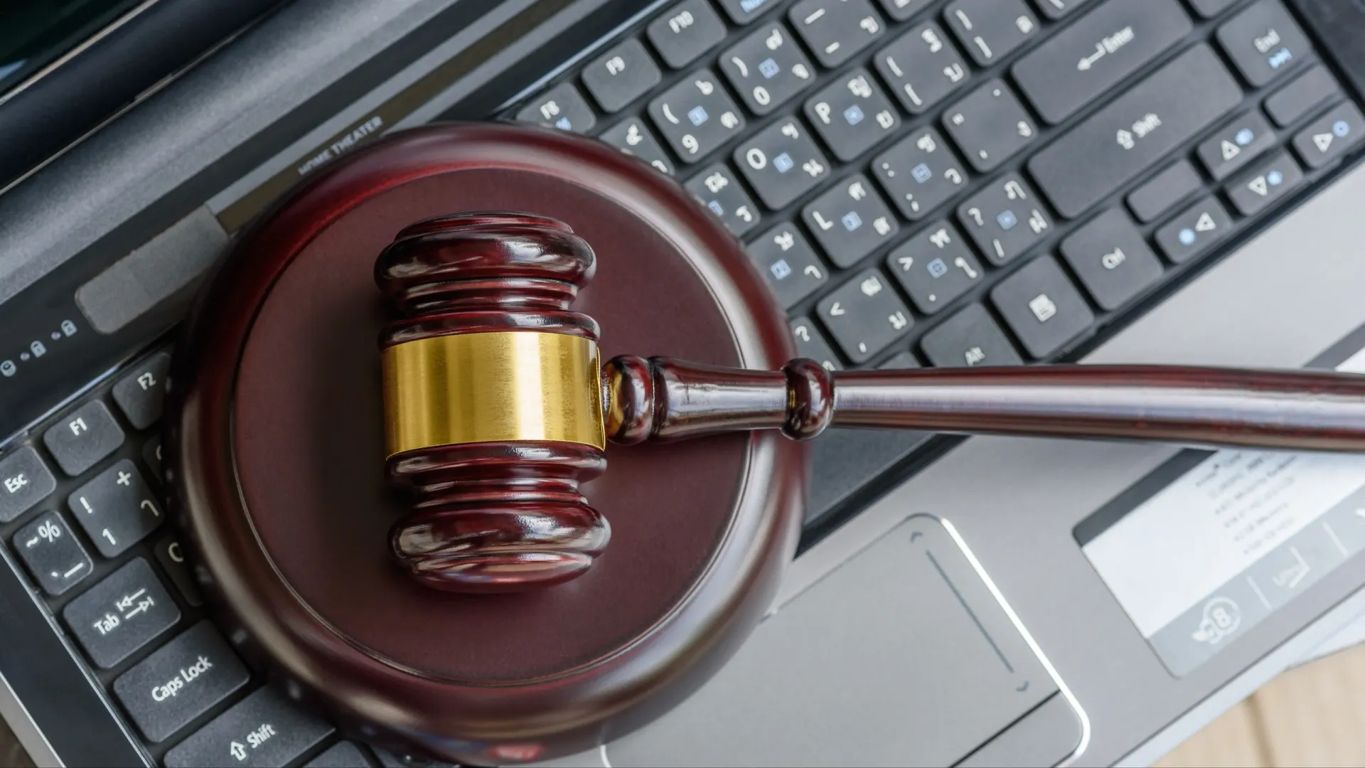 Фото: William Potter/Shutterstock/Fotodom