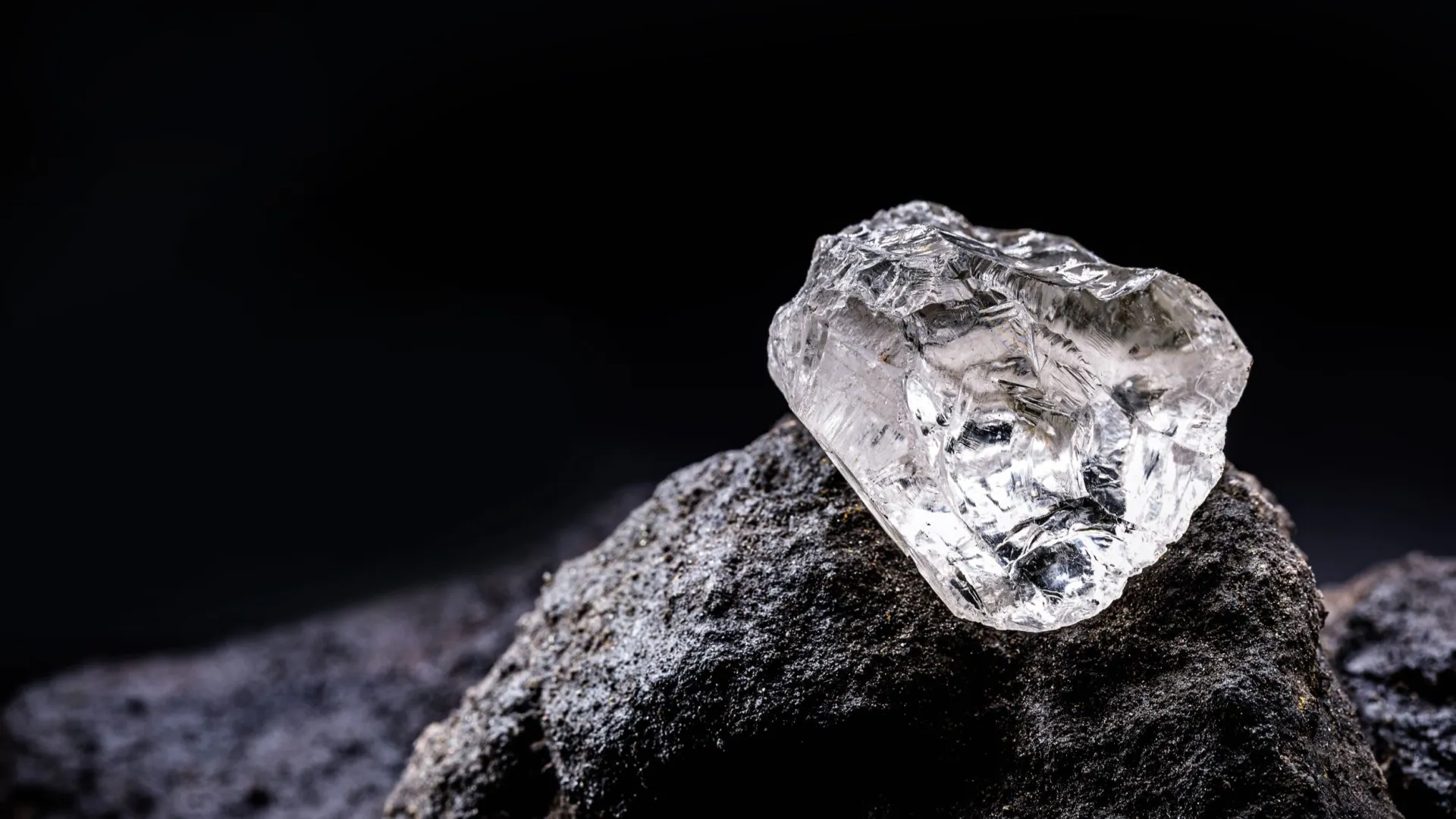 Фото: RHJPhtotos/Shutterstock/Fotodom