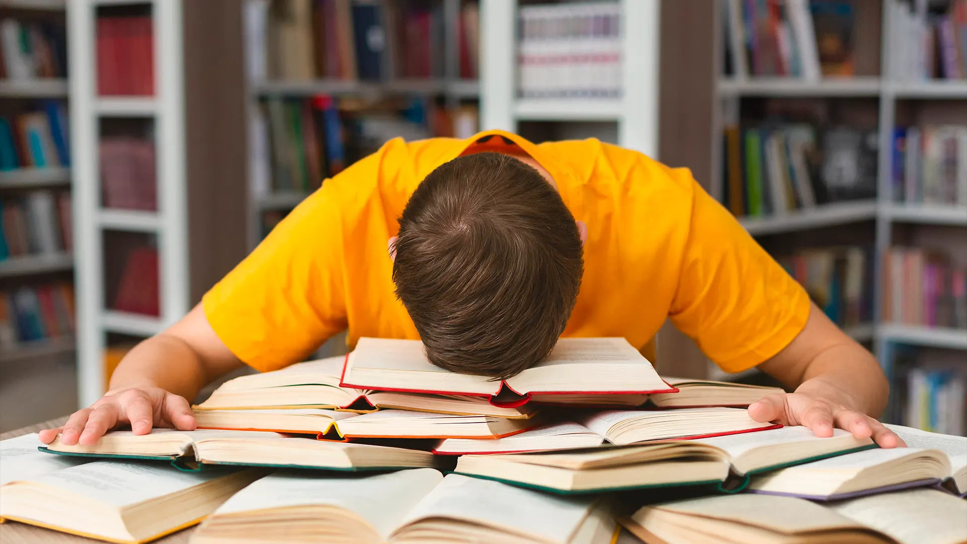 Фото: Prostock-studio /Shutterstock.com