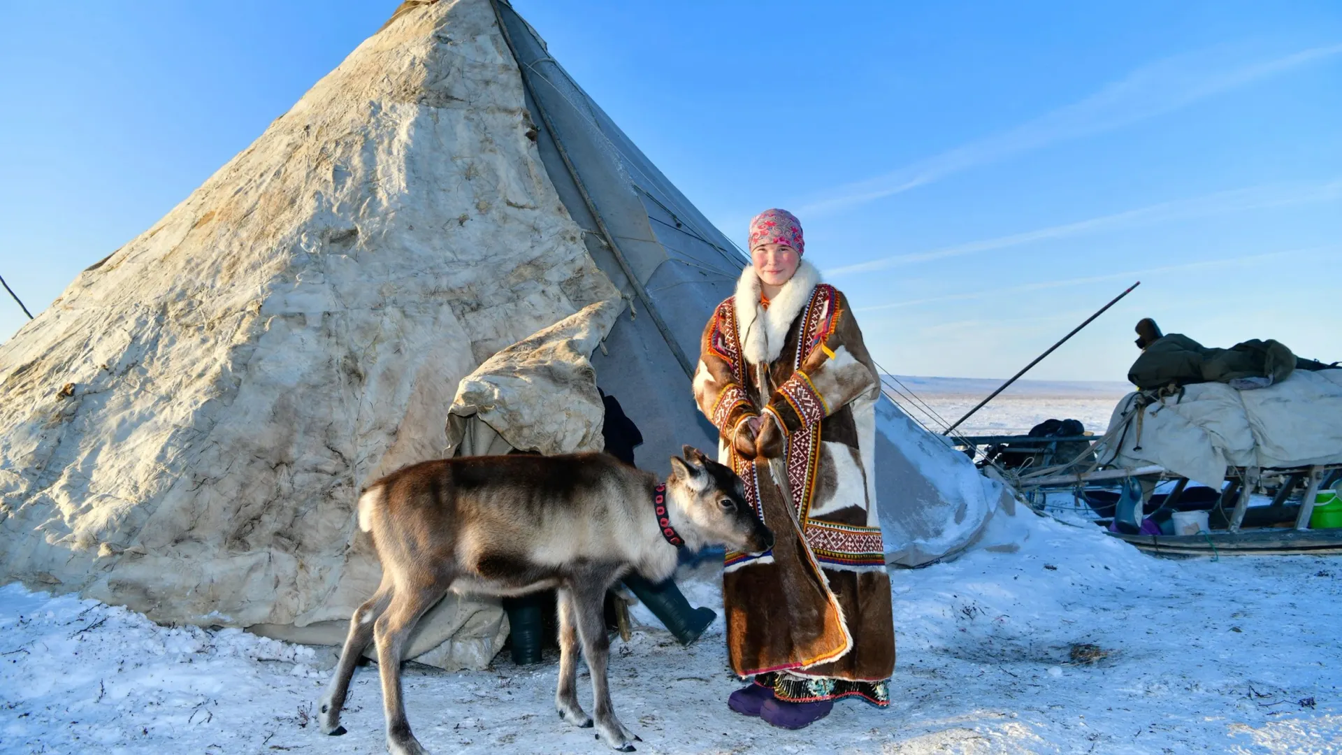 Фото: Андрей Ткачев/«Ямал-Медиа»