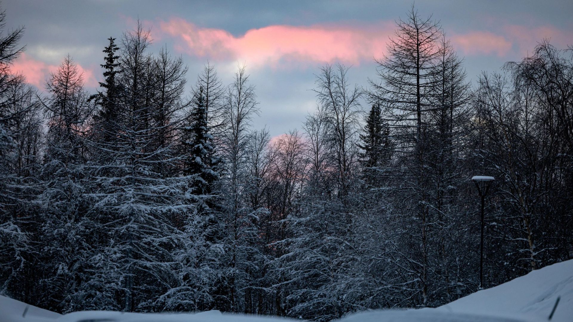 Под Тюменью поисковый отряд нашел заблудившихся квадроциклистов