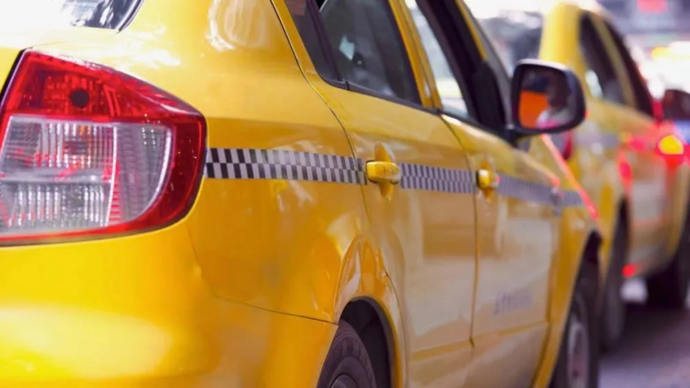 Фото: ArtWell/Shutterstock/Fotodom