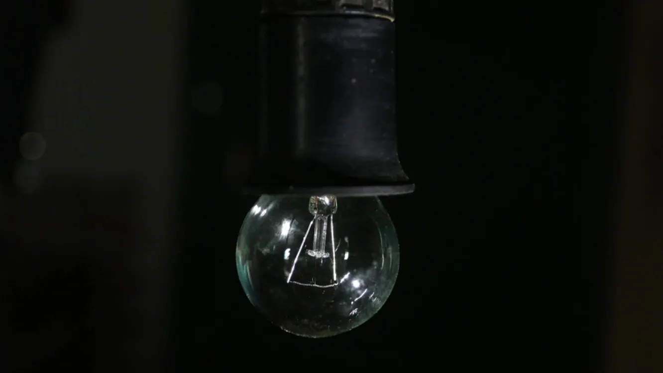 Фото: Oleksandr_U/shutterstock.com/Fotodom