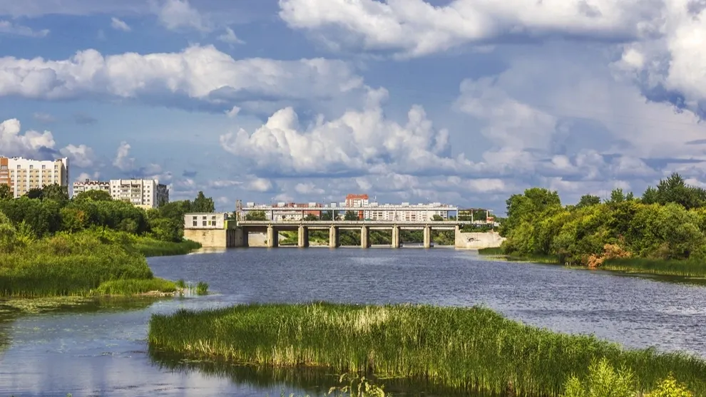 Фото: InnaPoka/Shutterstock/Fotodom