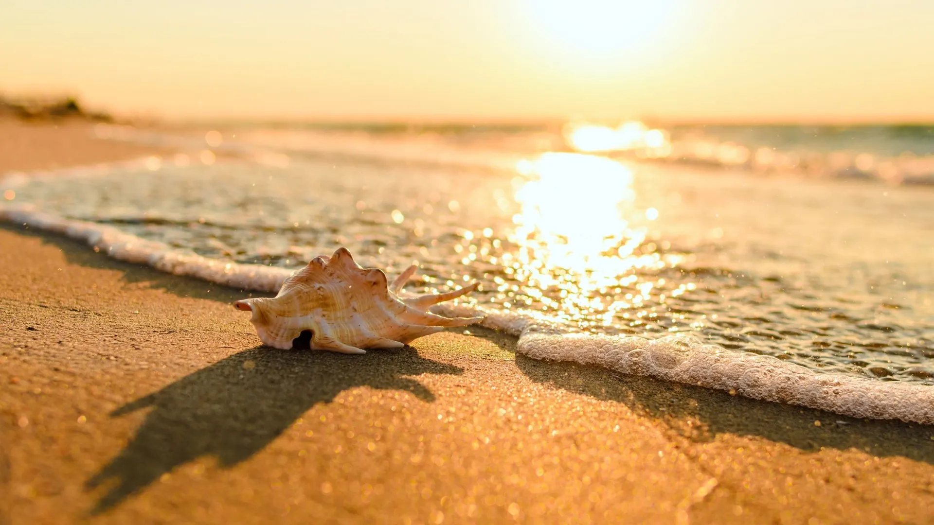 Фото: Nikita Burdenkov/Shutterstock/Fotodom