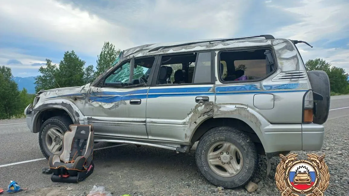 Фото: ДПС Контроль - Камчатка/t.me