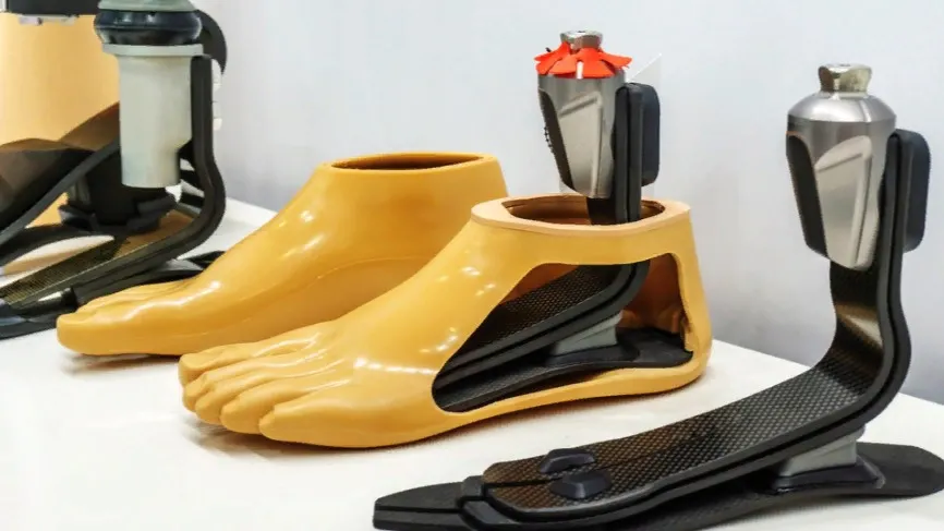 Фото: Dmitry Markov152/Shutterstock/Fotodom