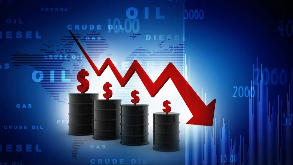 Фото: jijomathaidesigners/Shutterstock/ФОТОДОМ