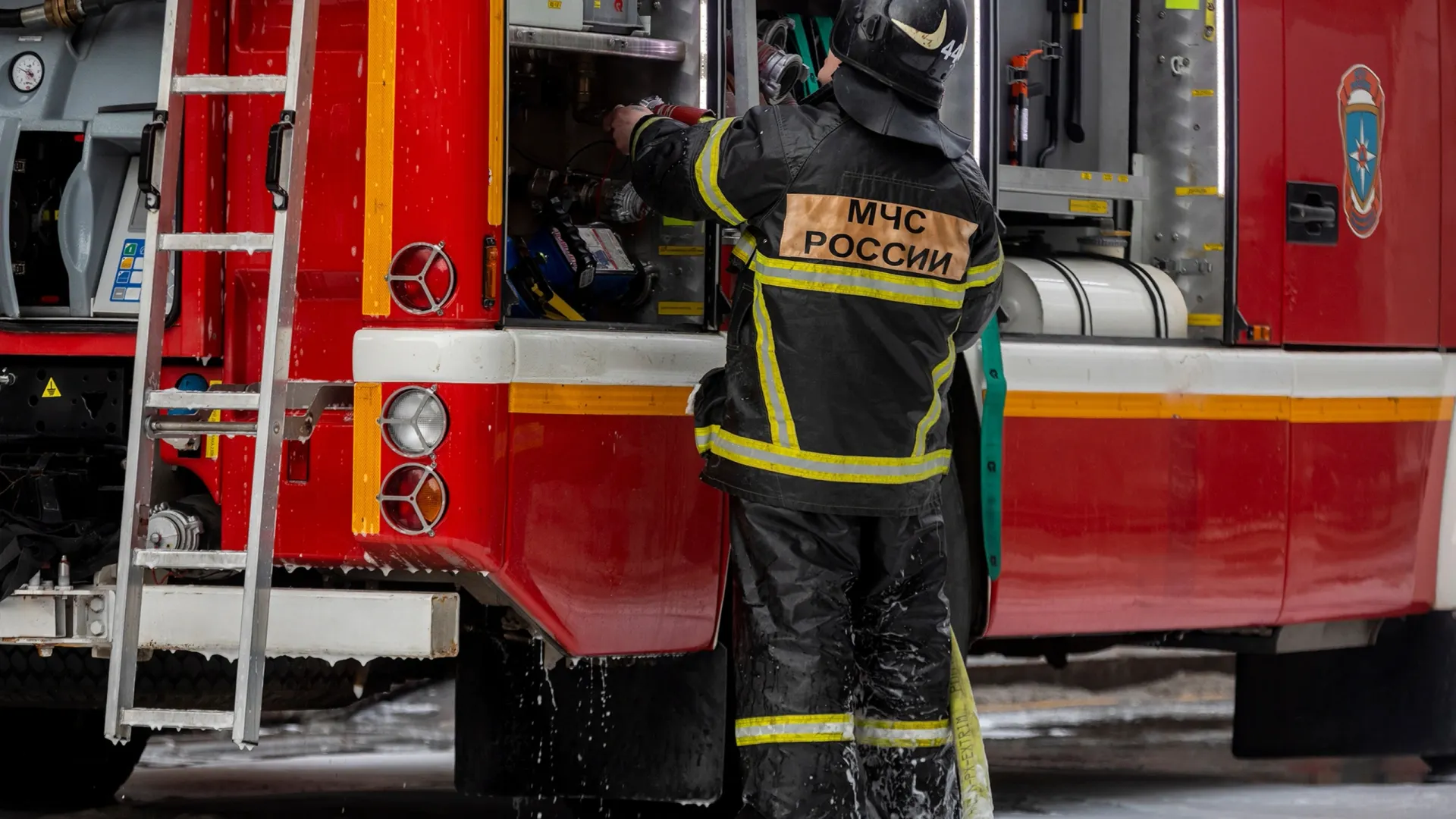 Фото: NickolayV/Shutterstock/Fotodom