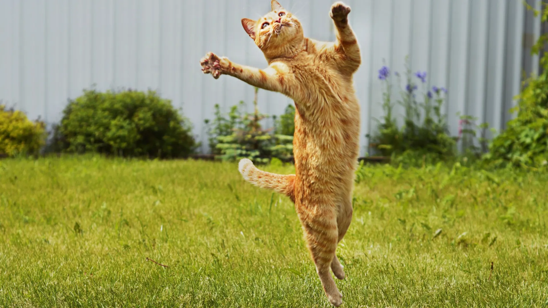 Фото: Vikafoto33/Shutterstock/Fotodom