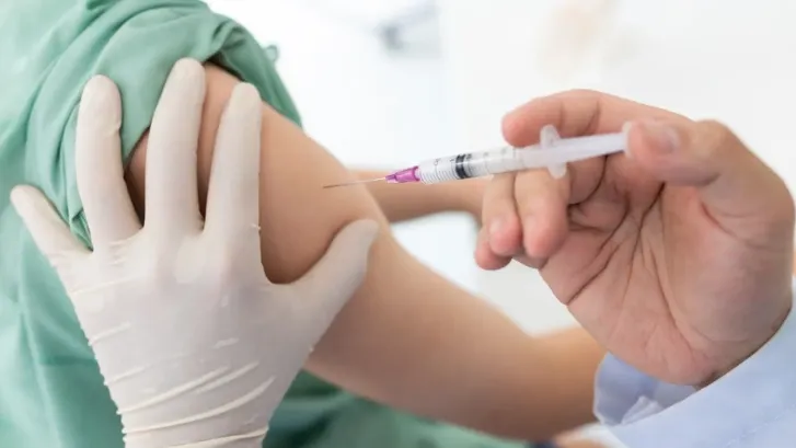 Фото: Tong_stocker/Shutterstock.com