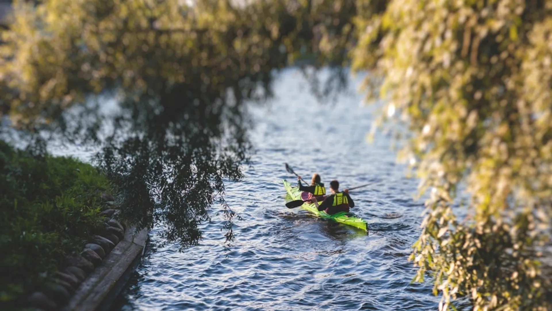 Фото: Tsuguliev/Shutterstock/Fotodom