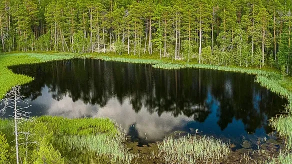 Фото из личного архива Данила Хусаинова