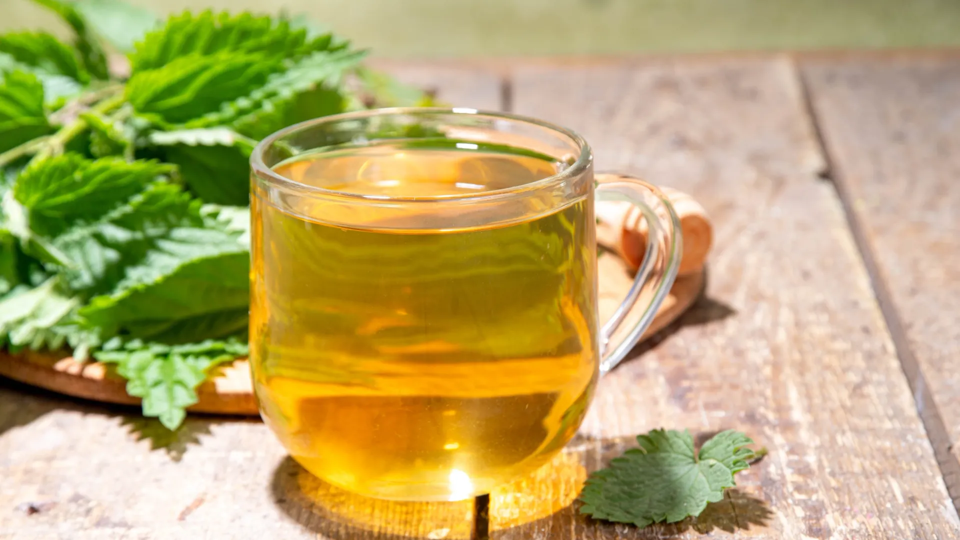 Фото: Rimma Bondarenko/Shutterstock/Fotodom