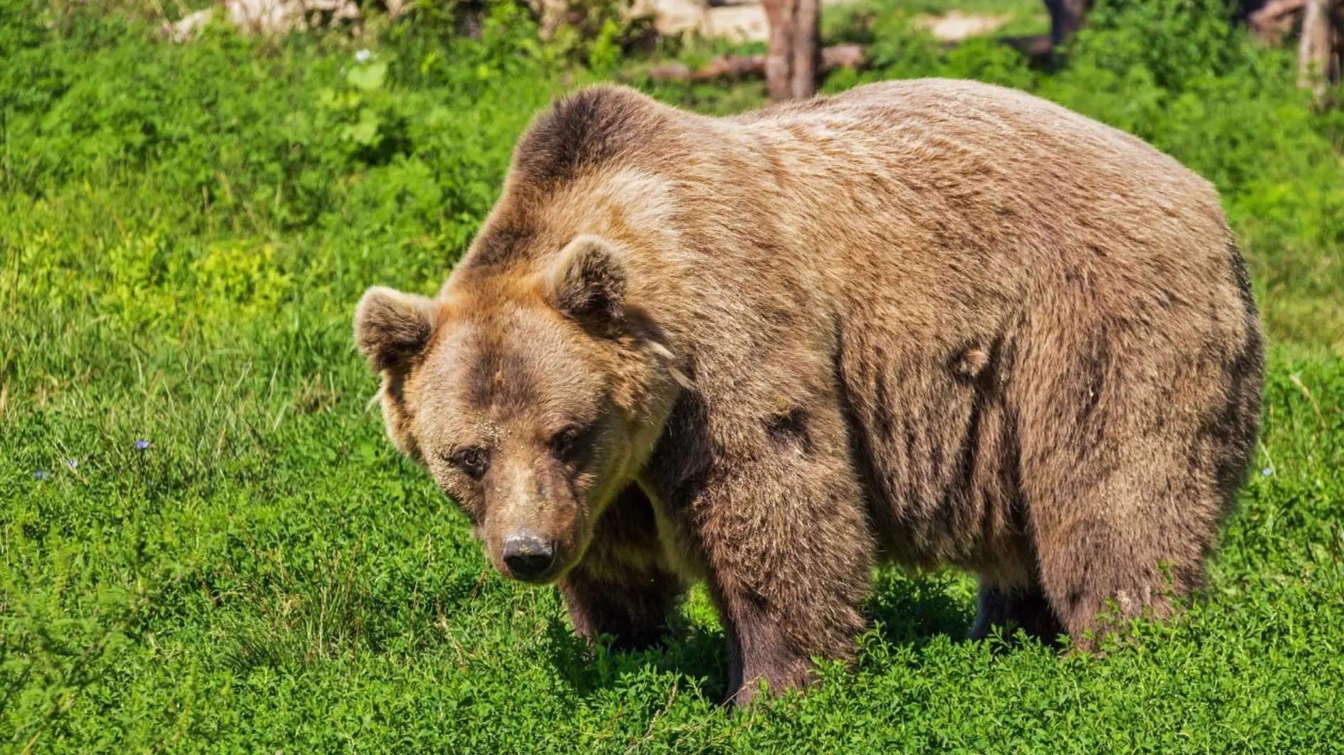 Фото: Pixabay.com