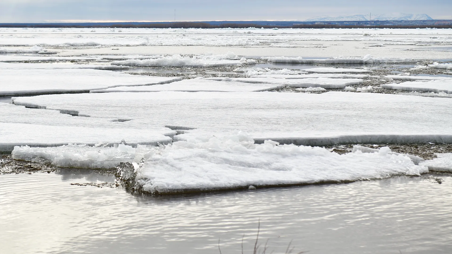 Фото: Андрей Ткачёв