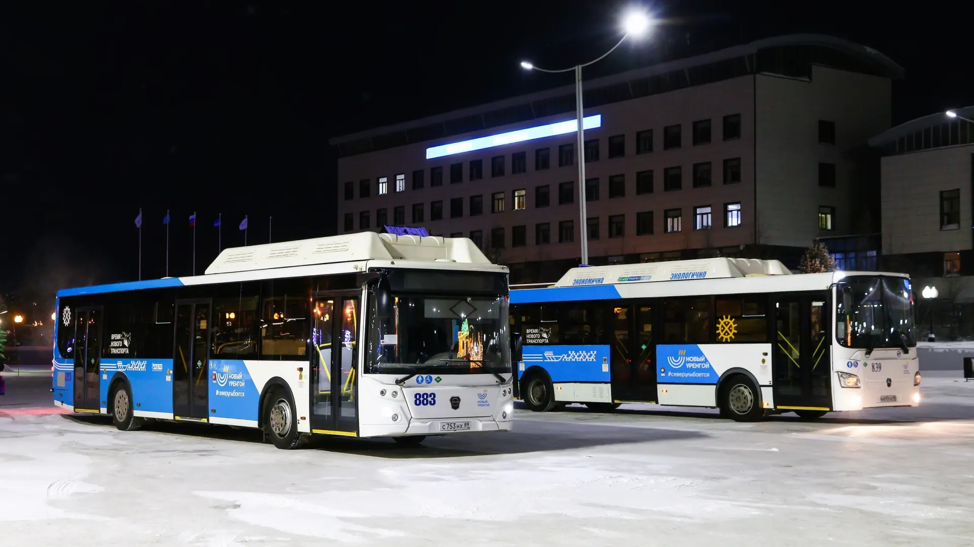 Фото: Art Konovalov/Shutterstock/Fotodom