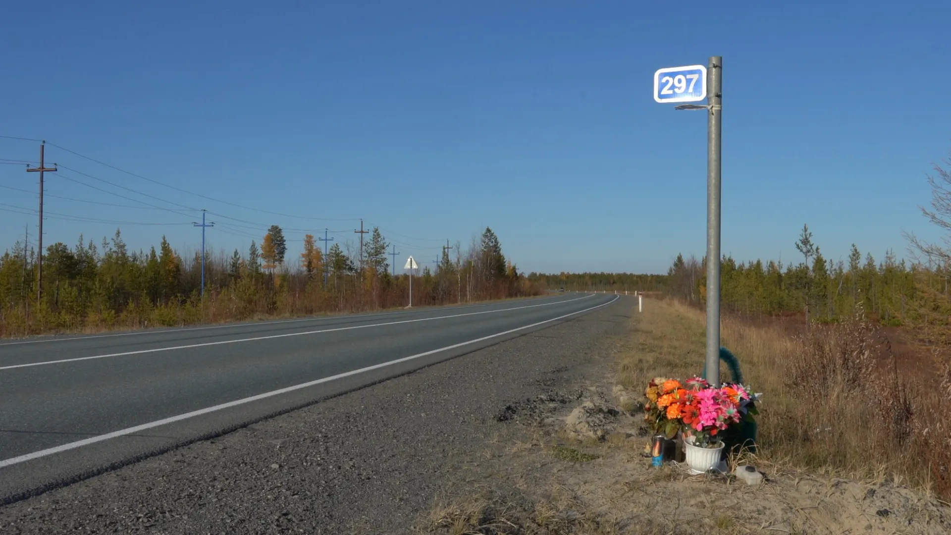 Фото: Данил Яковлев/«Ямал-Медиа»