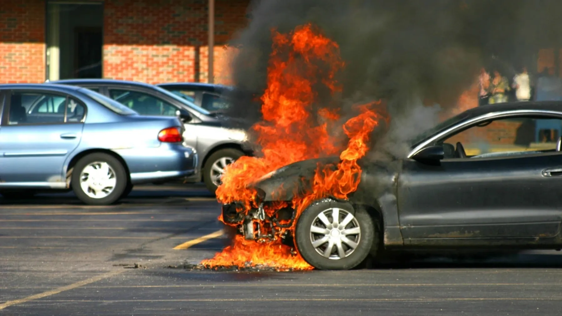 Фото: Henry Hazboun/Shutterstock/Fotodom