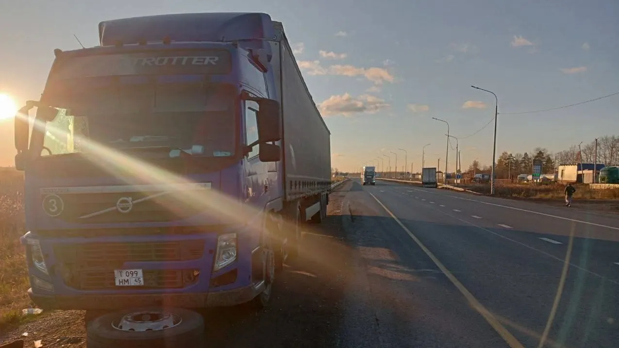 Фото: t.me/gibdd72