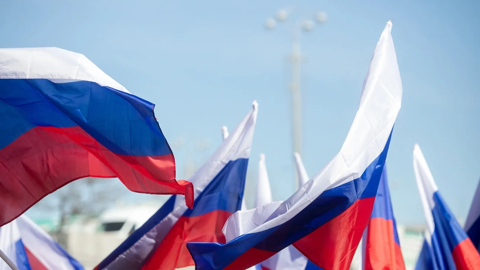 Фото: Salivanchuk Semyon/Shutterstock/Fotodom