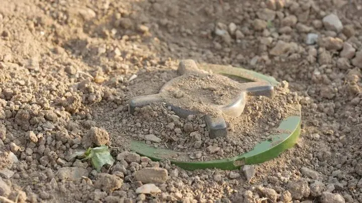 Zanger Zheleznogorov / Shutterstock.com