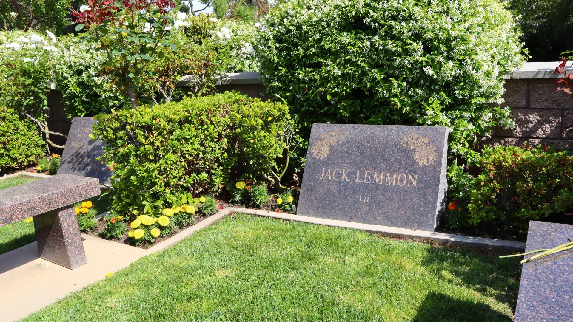 Фото: Walter Cicchetti/Shutterstock/Fotodom