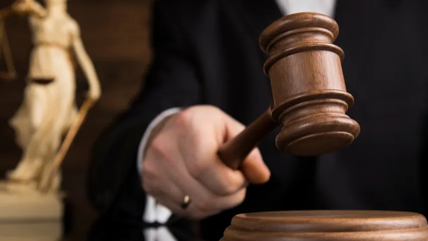 Фото: Sebastian Duda/shutterstock.com