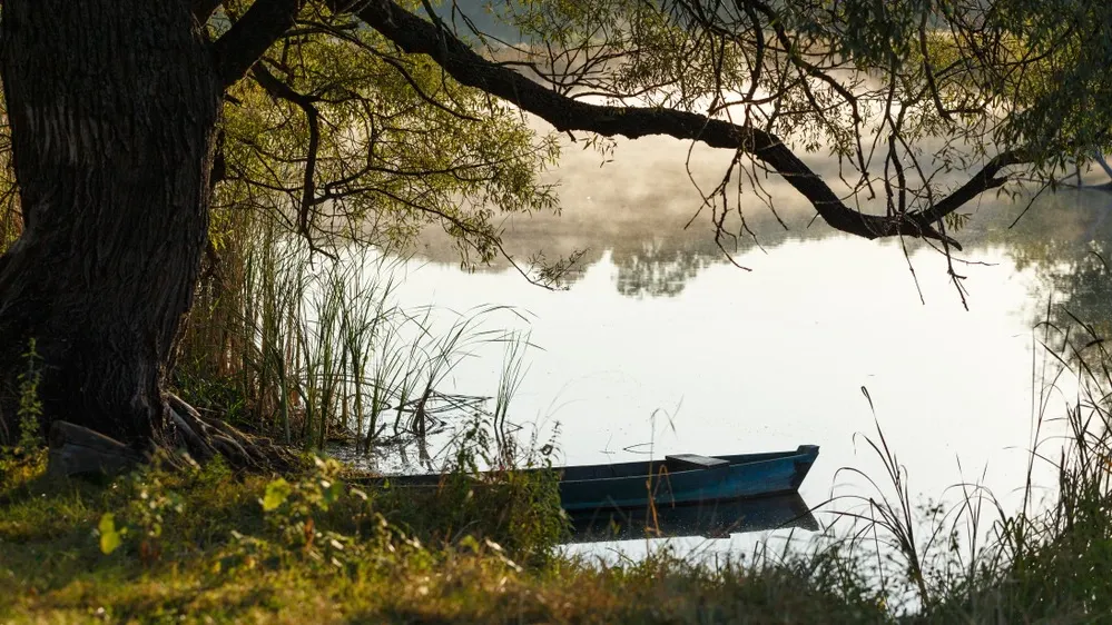 Фото: Feel good studio/Shutterstock/Fotodom