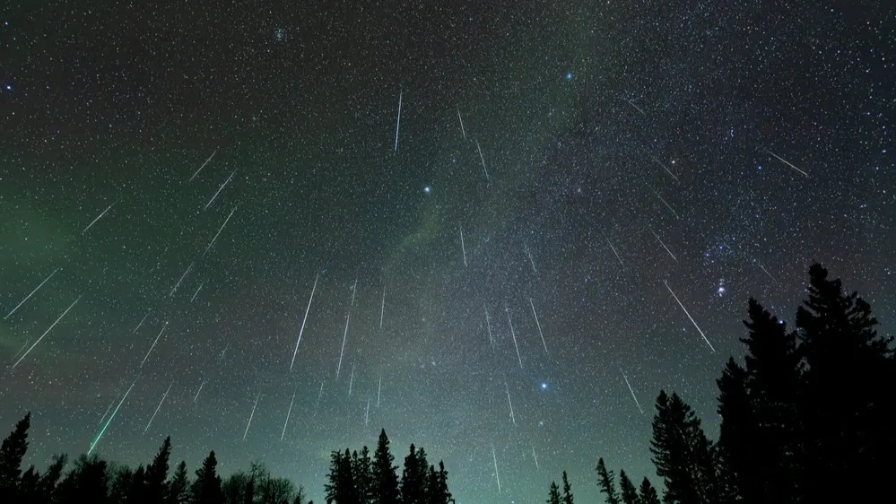 Фото: Craig Taylor Photography/Shutterstock/Fotodom