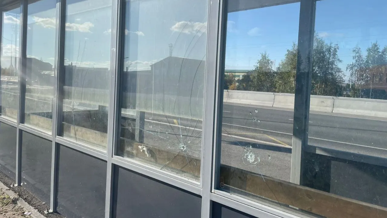 Фото: t.me/dobigz