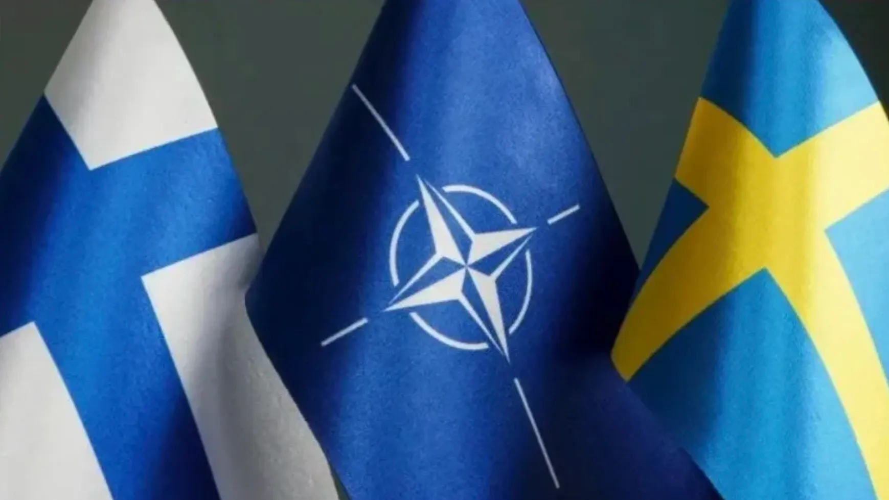 Фото: Vitalii Vodolazskyi/Shutterstock/Fotodom