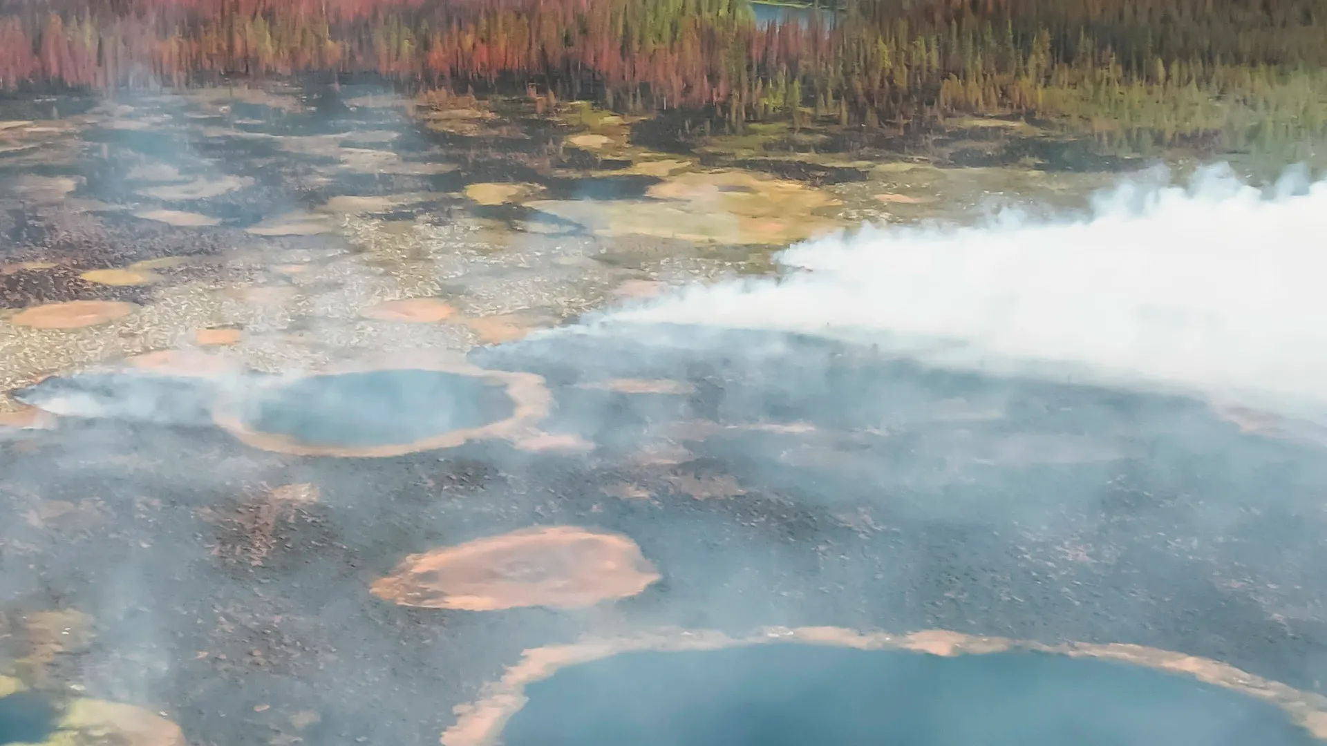 Фото: «Ямал-Медиа»