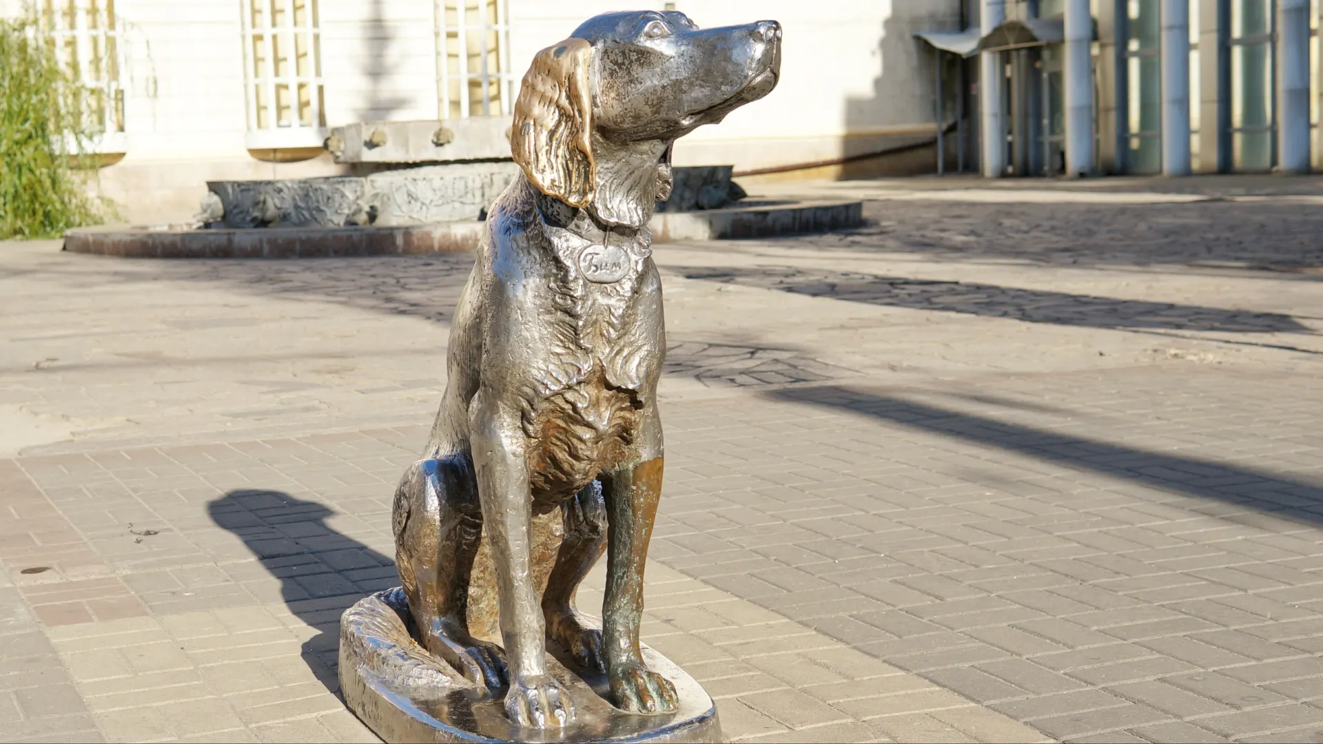 Фото: thekovtun/Shutterstock/Fotodom