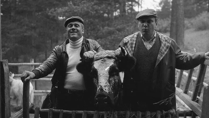 На съемках фильма «Любовь и голуби». Фото: /«Мосфильм»/Второе ТО/kinopoisk.ru