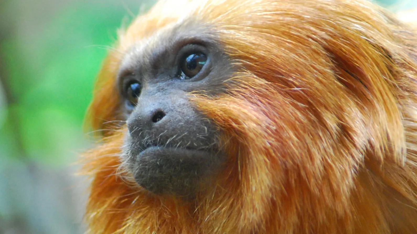 Brian Allard \ Flickr.com