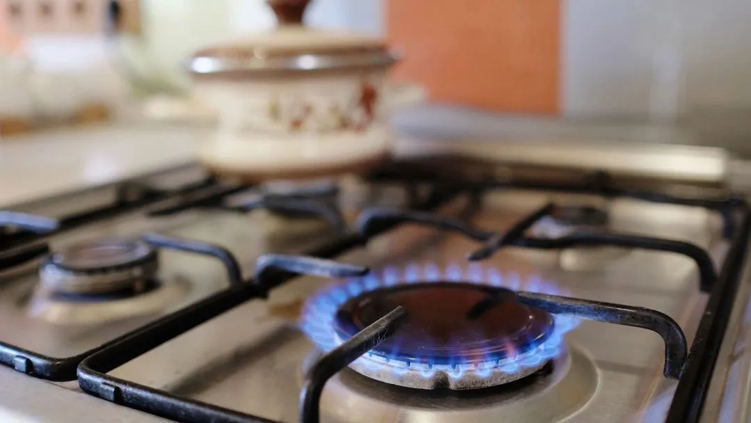 Фото: Vereshchagin Dmitry/Shutterstock/Fotodom