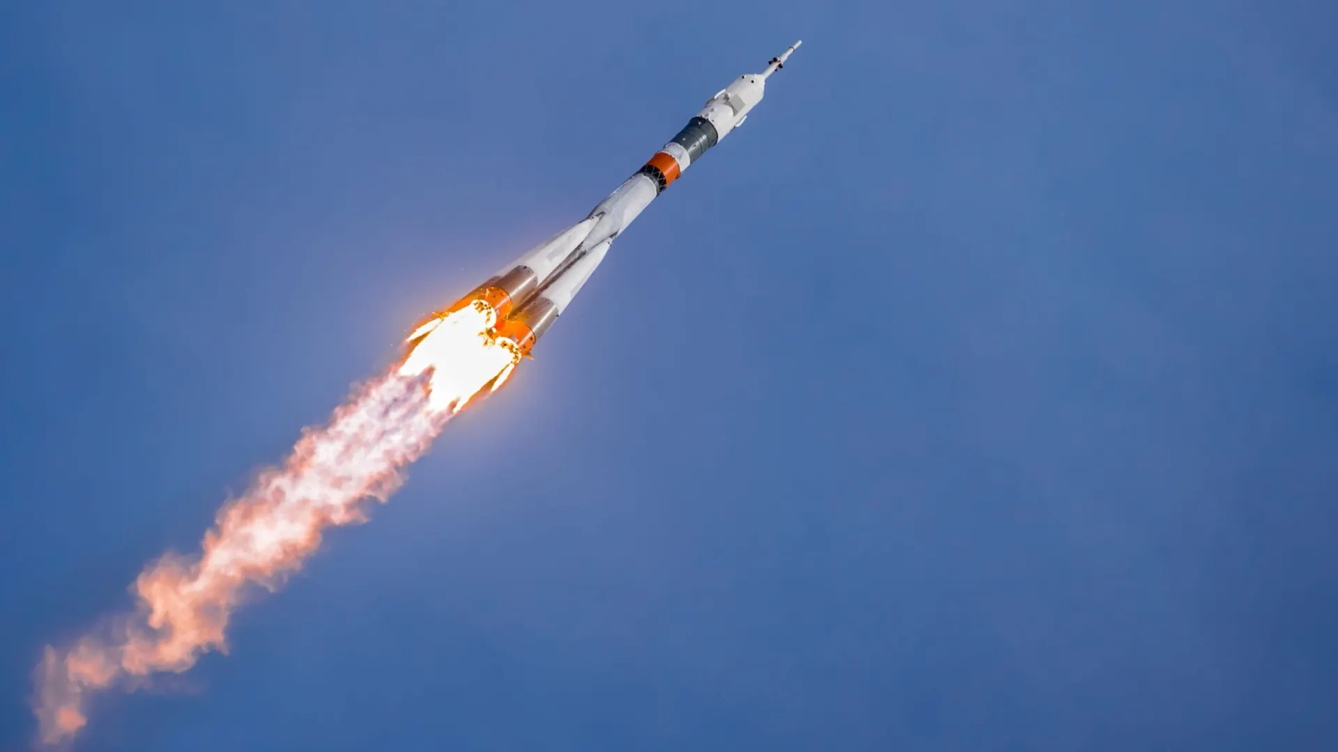 Фото: Vera Larina/Shutterstock/Fotodom