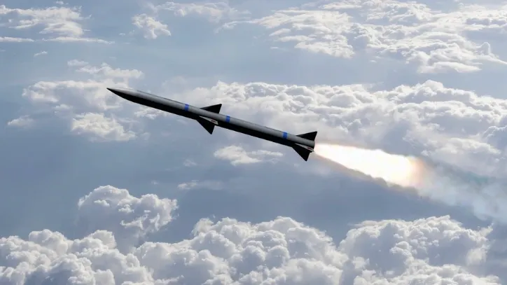 Фото: Anelo/Shutterstock/Fotodom