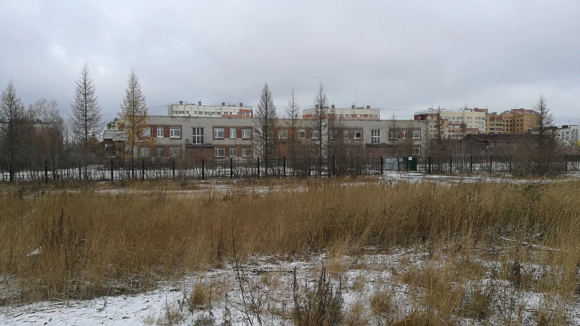 Фото: скрин из видео АНО "Ямал-Медиа"