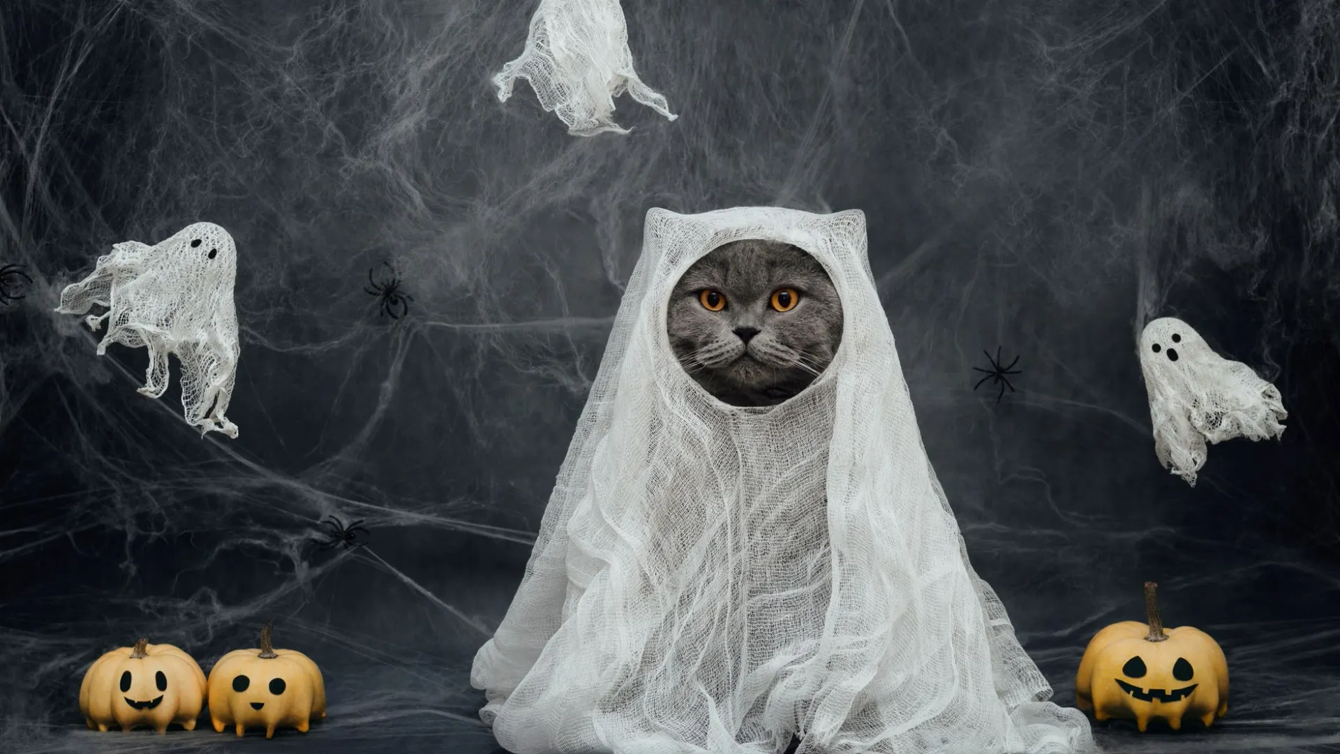 Фото: miss.lemon/Shutterstock/Fotodom