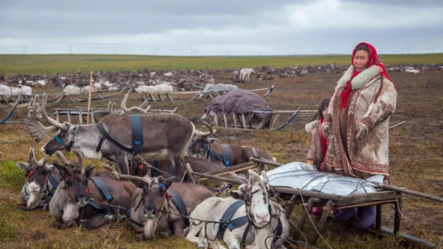 Фото: evgenii mitroshin/Shutterstock/Fotodom